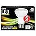 Feit Electric 45 Watt Equivalent 450 Lumen 2700K Soft White Dimmable R20 LED Light Bulb (6 - Pack)