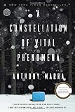 A Constellation of Vital Phenomena: A Novel
