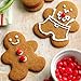 KENIAO Christmas Cookie Cutter Set - 5 Piece - Snowflake, Christmas Tree, Gingerbread Man, Santa Face and Leaping Reindeer Cutter - Stainless Steel