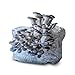 MICHIGAN MUSHROOM Grow Your Own Mushrooms Kit - Colonized Blue Oyster Mushrooms - Indoor Grow Kit - Up to 4lbs