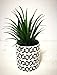 Pretty Home Potted Artificial Succulent Plants, Set of 3, Tile Pattern Pots