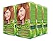 Naturtint Permanent Hair Color 7C Terracotta Blonde (Pack of 6), Ammonia Free, Vegan, Cruelty Free, up to 100% Gray Coverage, Long Lasting Results