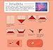 Fun & Easy Paper Airplanes: This Easy Paper Airplanes Book Contains 16 Fun Projects, 84 Papers & Instruction Book: Great for Both Kids and Parents
