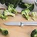 RADA Cutlery Peeling Paring Knife (R102), 2.5