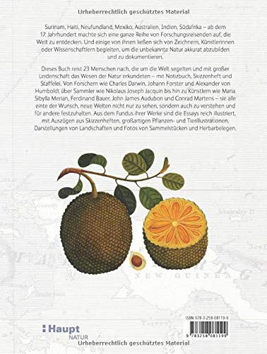 Naturerkundungen Mit Skizzenheft Und Staffelei 23