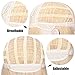 BERON Silver Wig Short Curly Wig Silver White Wigs Women Beach Wave Wigs for Cosplay Costume Party Hairnet Included