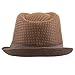 The Hat Depot Light Weight Classic Soft Cool Mesh Crushable Fedora hat (L/XL, Brown)