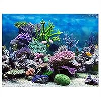 Mumusuki PVC Adhesive Underwater Coral Aquarium Fish Tank Background Poster Backdrop Home Office Decoration Paper(6130cm)