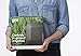 Gro 7 Zone Controller from Scotts - Sprinkler/Irrigation Controller, Works with Alexa and Google Assistant