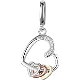 Amieween S925 Charms for Pandora Bracelets and Necklaces, Gifts for Love, Couple, Family, Friend, on Birthday, Anivesary, Christmas, Valentine's Day, Mothers Day