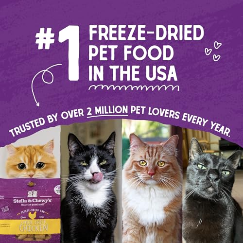 STELLA & CHEWY’S FREEZE-DRIED RAW CAT DINNER MORSELS – PREMIUM TURKEY RECIPE WITH 98% FARM-RAISED MEAT & ORGANS – NATURAL GRAIN-FREE CAT & KITTEN FOOD – MADE IN USA – 3.5 OZ