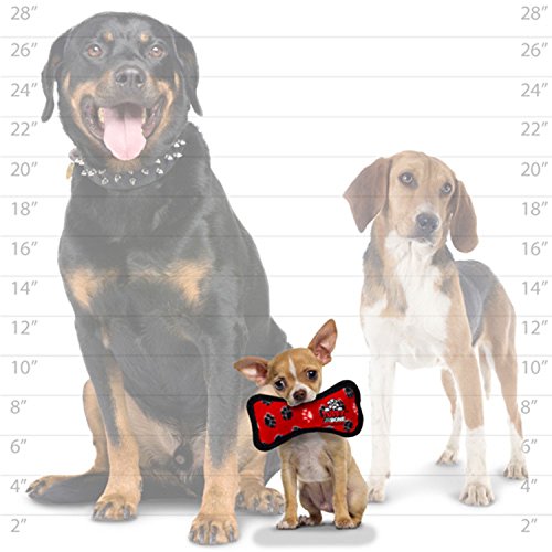 Tuffy Jr Bone Red Paw