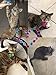 Everglades Backcountry 20 Pack Sparkle Glitter Tinsel Balls Toys Assorted Colors 2 Inch Complete with Bonus Catnip for Cats Kittens Arts & Crafts