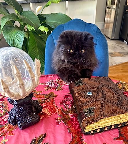 Hocus Pocus Book of Spells Hocus Pocus Decor Hocus Pocus Halloween Decorations Book of Shadows and Spell Book with Lock Witch Decor And Witch Decoartions Perfect for Spooky Gifts And Spooky Decor 8 x6 Inches