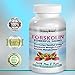 ~ STRONG ~ 500mg FORSKOLIN Extract for Weight Loss Pure Natural Vitamin Supplement Maximum Strength 60 super powder veggie capsules pills dr oz diet bounty