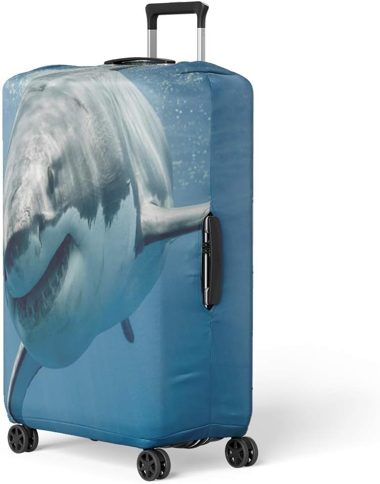 Pinbeam Luggage Cover Blue Threat Great White Shark Smiling Predator Smile Travel Suitcase Cover Protector Baggage Case Fits 18-22 inches