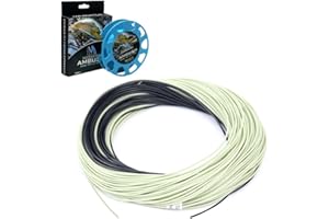 Maxcatch Sinking Tip Fly Line for Fly Fishing Weight Forward Line, 3ips/6ips, 4/5/6/7/8 F/S