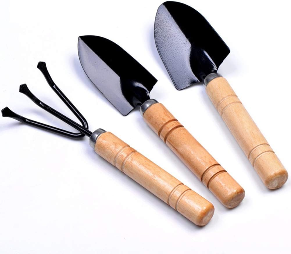 Best Stainless Steel Zen Garden Rake