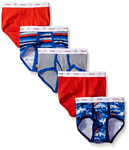 Hanes Toddler Boys 5-Pack Dyed Briefs, Assorted, 4