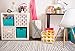 DII Non Woven Polyester Storage Bin, Metallic Pineapple, White & Gold, Large Set of 2