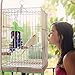 MEWTOGO 2 Pack Natural Wood Block Parrot Chew Toys- Grape&Banana Shaped Hanging Cage Chewing Foraging Toy for Eclectus Budgies Parakeet Cockatiel Conure Lovebirds Small&Medium Birds