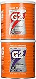 Gatorade G2 Combo Grape/Fruit Punch Powder Mix 19.6 Oz (2 Pack)