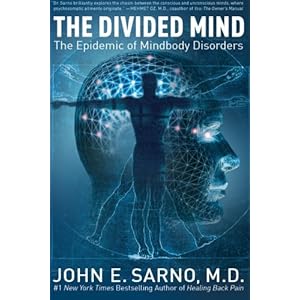 The Divided Mind: The Epidemic of Mindbody Disorders