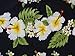 Hawaiian Shirts Mens Hibiscus Floral Print Across Aloha Party Beach Camp