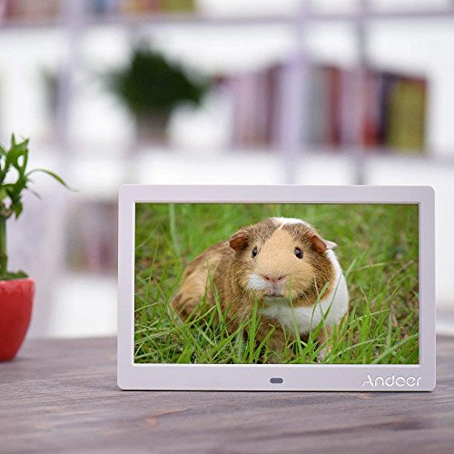 image for Digital Picture Frame, Andoer 10 inch HD LCD Digital Photo Picture Fra