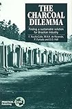 Image de The Charcoal Dilemma: Finding a Sustainable Solution for Brazilian Industry.