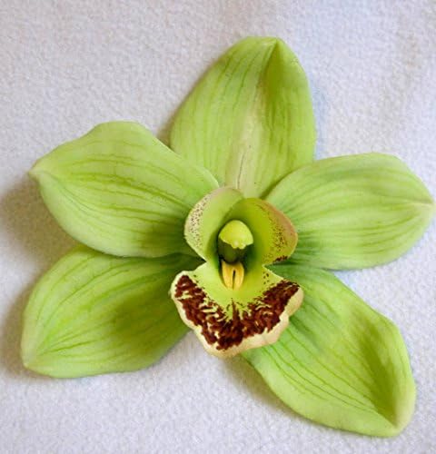Gorgeous Lime Green Cymbidium Orchid Hair Flower Clip