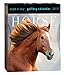 Horse Page-A-Day Gallery Calendar 2017