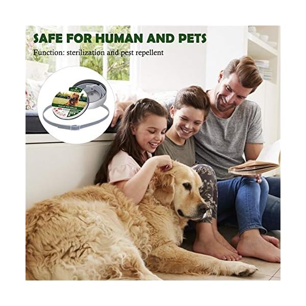 jianghui-Collare-Anti-pulci-per-Cani jianghui - Collare Anti-pulci per Cani