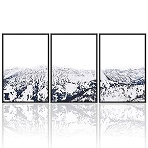 signwin 3 Piece Framed Canvas Wall Art Beautiful...
