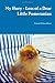 My Huey - Loss Of A Dear Little Pomeranian by Victoria Nelson-Flores