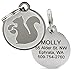 GoTags Playful, Custom Engraved Pet ID Tags, Solid Stainless Steel, Personalized Dog and Cat Pet ID with up to 4 Lines of Text, Cute, Durable and Long-Lasting
