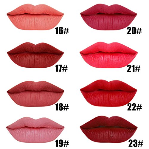 Gocheaper Women Lipstick Moisturizer Waterproof Matte Lipstick Cosmetic Beauty Makeup,Black Body Red Tail Classic Lip Gloss (A)