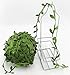 Olive Green Leaves Leaf Trim Ribbon -21.8 Yards, DIY Leaf Headband,DIY Leaf Napkin Rings, Leaf Balloon Tail, DIY Leaf Crown, Leaves Garland, Ribbon Craft Sewing DIY Wedding Bouquet