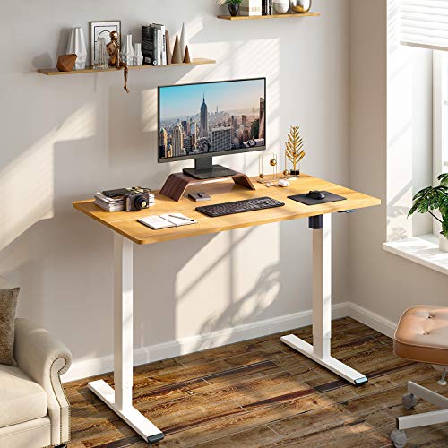 FLEXISPOT EG1 Essential Standing Desk, Height Adjustable Desk Electric
