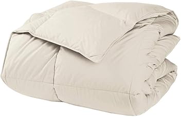 Amazon Com The Company Store