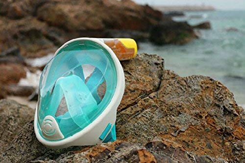 Sammid 180° View Panoramic Full Face Snorkel Mask [Crystal Clear for Best Vision],with Anti-Fog Anti-Leak Snorkeling Clear View Diving Mask for Adults & Kids(L/XL, Green) - Thumbnail 3