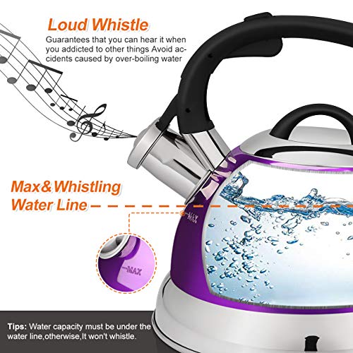 VICALINA Whistling Tea Kettle, 2.4 Quart Stainless Steel Teapot for