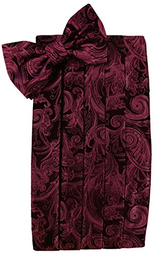 Cardi Men's Tapestry Paisley Bowtie and Cummerbund Set, Apple