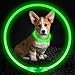 Led Dog Collar, USB Rechargeable Flash Dog Necklace Light, Pet Safety Collar Makes Your Beloved Dogs Be Seen at Night for Small Medium Large Dogsthumb 1