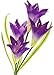 Sorbus LED Flower Light Lily Stakes, 2 Pack Solar Multi-Color Changing 8 LED Outdoor Garden Flowers,Lawn, Garden, Patio, Night Lighting, Path Walkway, Gravestone, Wedding (2 Purple Color Changing)