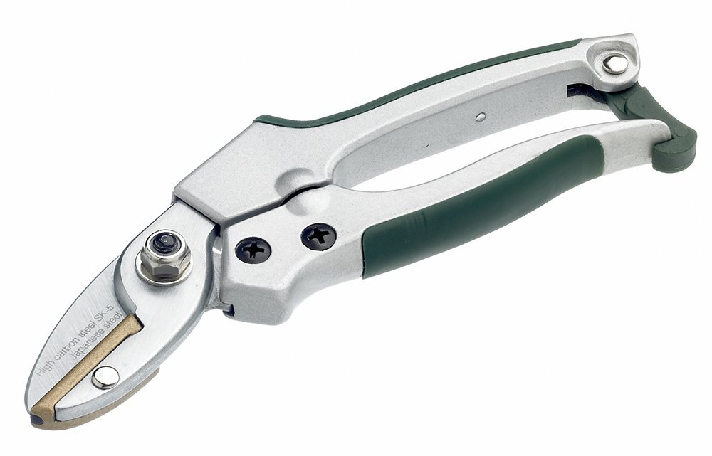 Bulldog BD3152C Premier Anvil Pruners, Silver