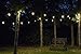 Enbrighten Classic Warm White String Lights, 36ft Black Cord, 18 Shatterproof Acrylic Bulbs, Weatherproof, Outdoor String Lights, 33171
