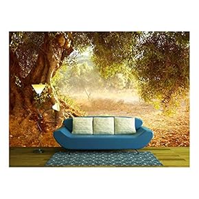 Old Olive Tree - Removable Wall Mural | Self-Adhesive Large Wallpaper - 66x96 inches