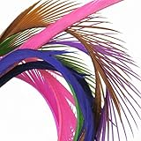 Premium Vibrant Colored Large Biot Goose Feathers - 40 to 50 Per Package - 7