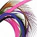 Premium Vibrant Colored Large Biot Goose Feathers - 40 to 50 Per Package - 7" to 11" (Assortaed)